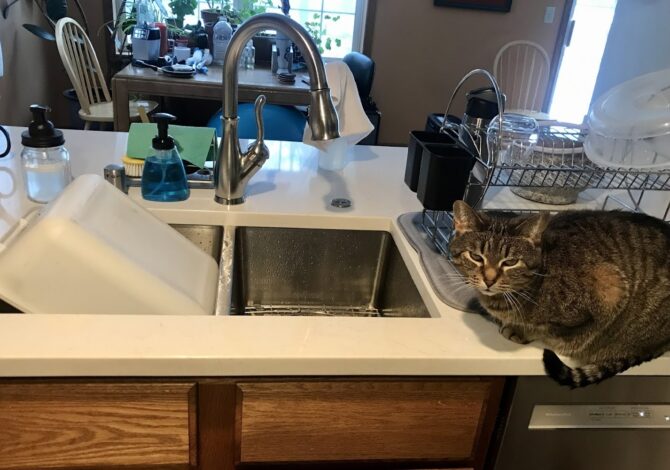 Emergency plumber in Madison Monona Plumbing & Fire Protection