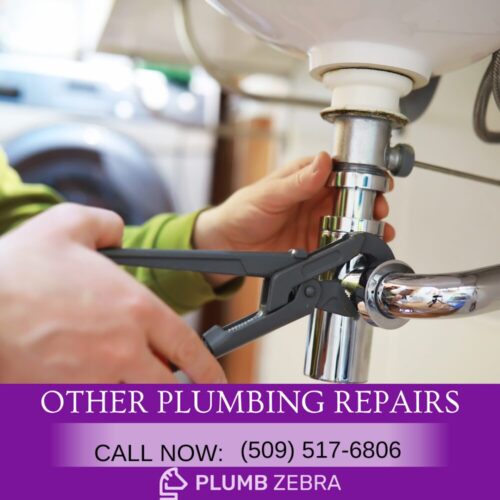 Emergency plumber in Spokane Valley Plumb Zebra Emergency plumber in Spokane Valley Plumb Zebra