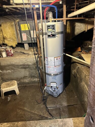 Emergency plumber in Hayward single flush plumbing