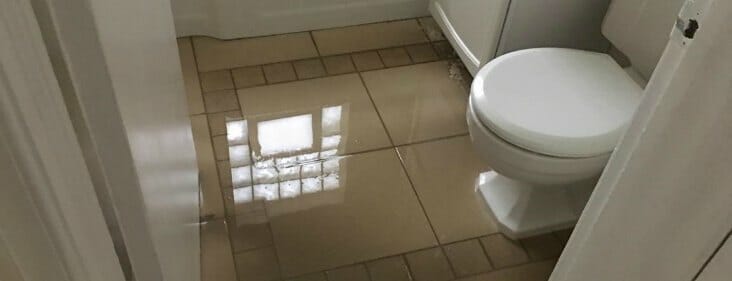 Emergency plumber in Lecanto Wells Plumbing Services Inc