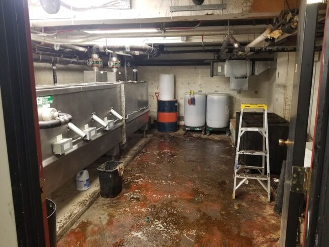 Emergency plumber in Mays Landing Cleanouts Sewer And Drain Cleaning
